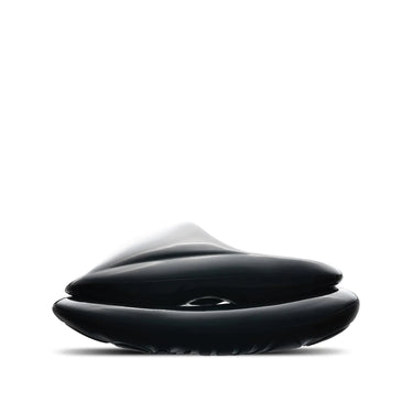 xVESSEL Giant Whales